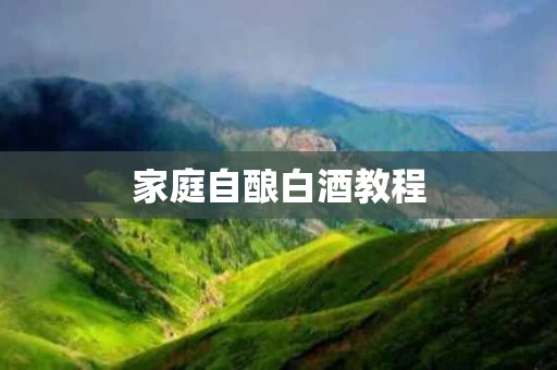 家庭自酿白酒教程