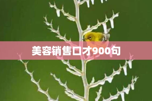 美容销售口才900句