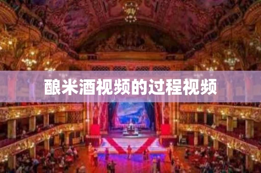 酿米酒视频的过程视频