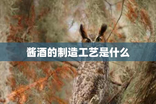 酱酒的制造工艺是什么