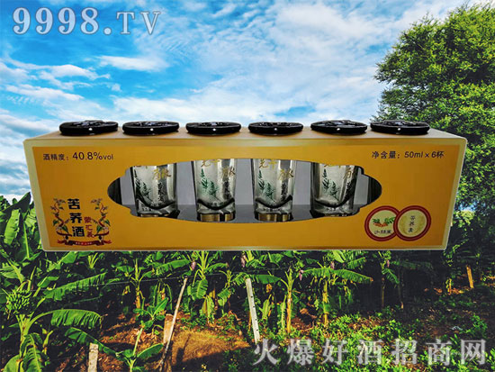 苦荞酒