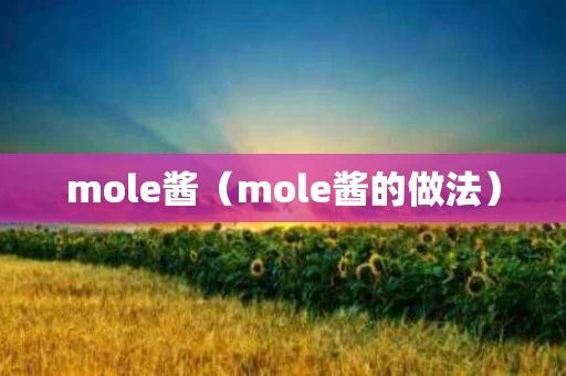 mole酱（mole酱的做法）