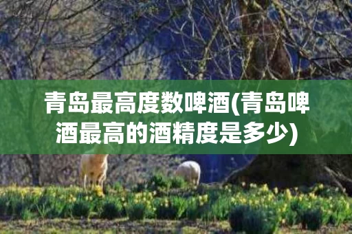 青岛最高度数啤酒(青岛啤酒最高的酒精度是多少)