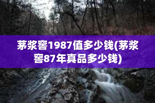 茅浆窖1987值多少钱(茅浆窖87年真品多少钱)