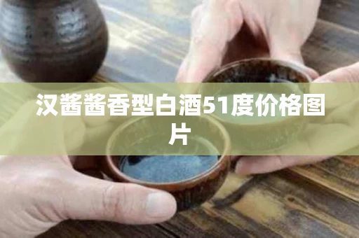 汉酱酱香型白酒51度价格图片