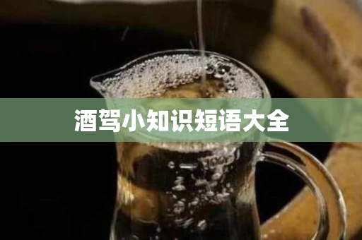 酒驾小知识短语大全