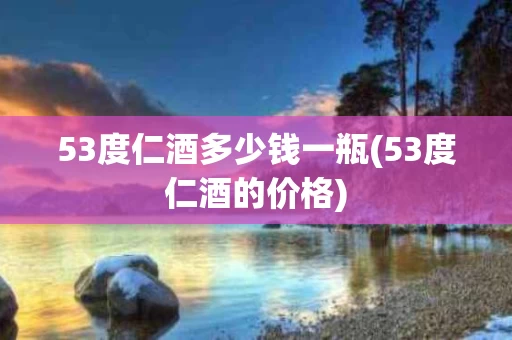 53度仁酒多少钱一瓶(53度仁酒的价格)