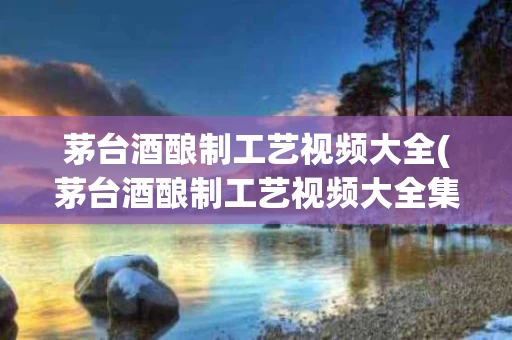 茅台酒酿制工艺视频大全(茅台酒酿制工艺视频大全集)