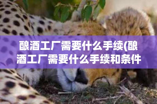 酿酒工厂需要什么手续(酿酒工厂需要什么手续和条件)