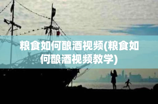 粮食如何酿酒视频(粮食如何酿酒视频教学)