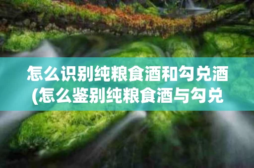 怎么识别纯粮食酒和勾兑酒(怎么鉴别纯粮食酒与勾兑酒)