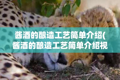 酱酒的酿造工艺简单介绍(酱酒的酿造工艺简单介绍视频)