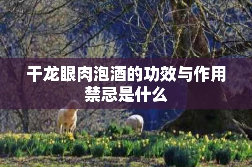 干龙眼肉泡酒的功效与作用禁忌是什么