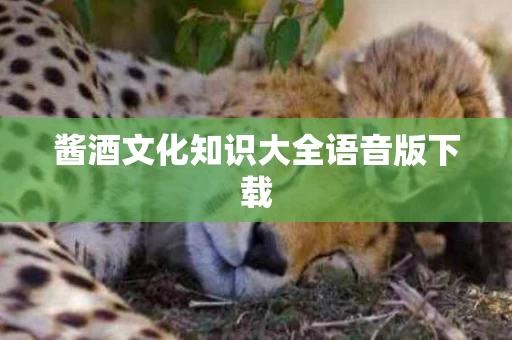 酱酒文化知识大全语音版下载