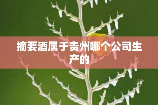 摘要酒属于贵州哪个公司生产的