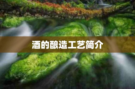 酒的酿造工艺简介