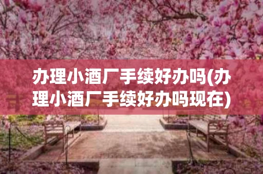 办理小酒厂手续好办吗(办理小酒厂手续好办吗现在)