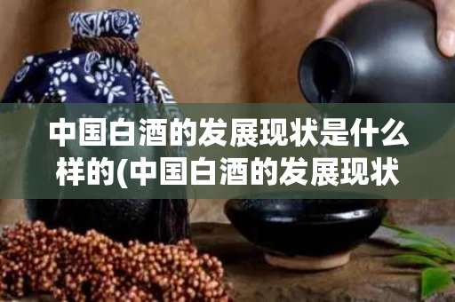 中国白酒的发展现状是什么样的(中国白酒的发展现状是什么样的呢)