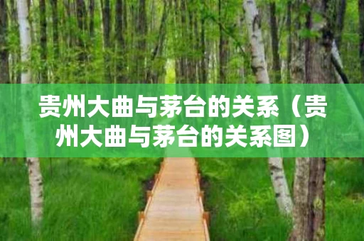 贵州大曲与茅台的关系（贵州大曲与茅台的关系图）
