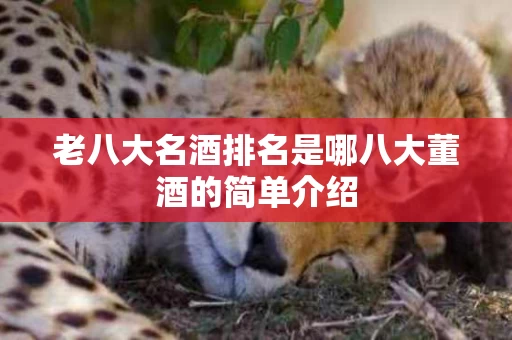老八大名酒排名是哪八大董酒的简单介绍