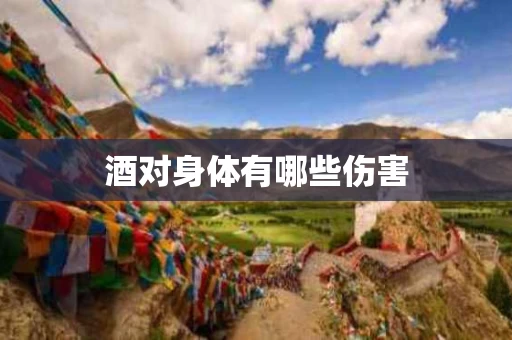 酒对身体有哪些伤害