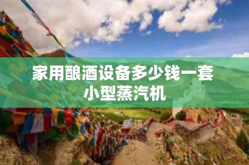家用酿酒设备多少钱一套 小型蒸汽机