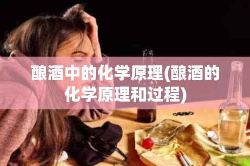 酿酒中的化学原理(酿酒的化学原理和过程)