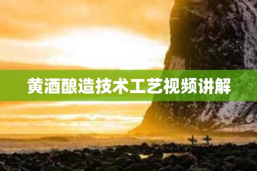 黄酒酿造技术工艺视频讲解