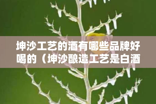 坤沙工艺的酒有哪些品牌好喝的（坤沙酿造工艺是白酒中最好的工艺吗?）