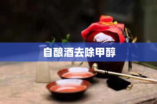自酿酒去除甲醇