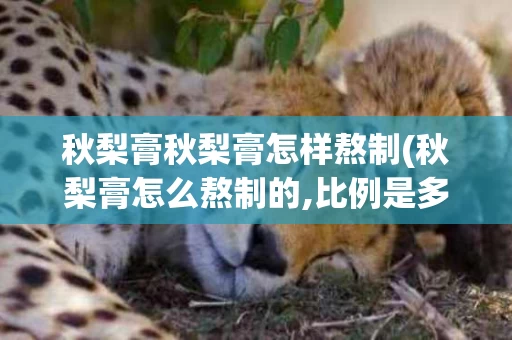 秋梨膏秋梨膏怎样熬制(秋梨膏怎么熬制的,比例是多少)