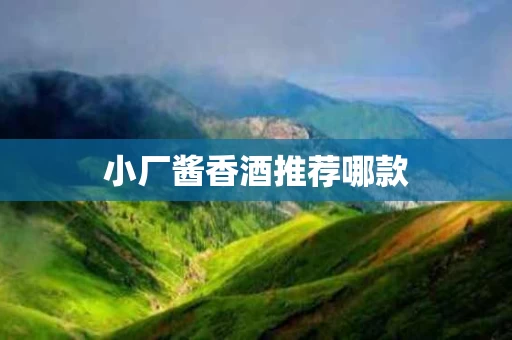 小厂酱香酒推荐哪款