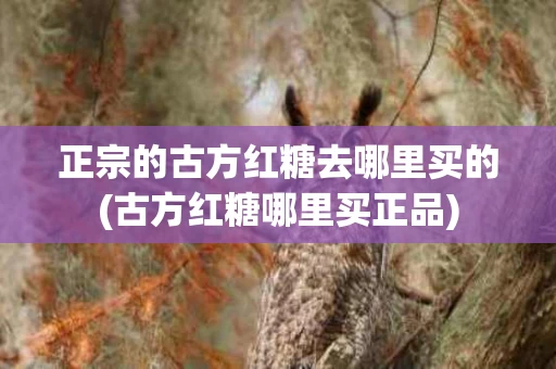 正宗的古方红糖去哪里买的(古方红糖哪里买正品)