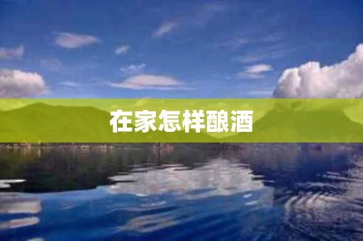 在家怎样酿酒