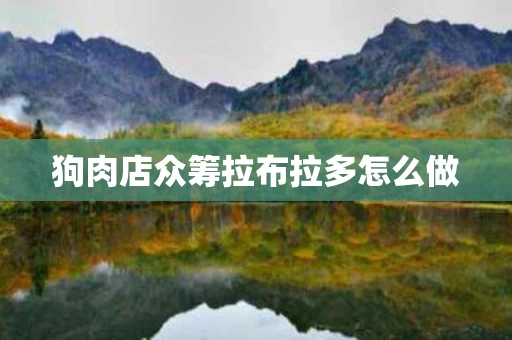 狗肉店众筹拉布拉多怎么做