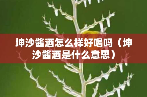 坤沙酱酒怎么样好喝吗（坤沙酱酒是什么意思）