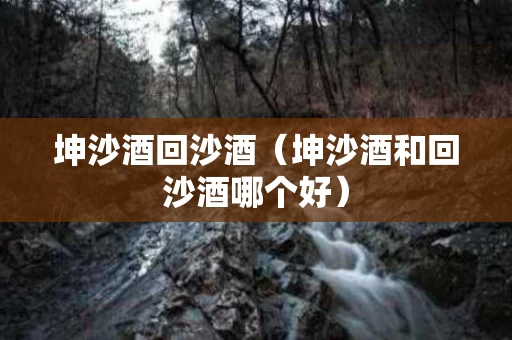 坤沙酒回沙酒（坤沙酒和回沙酒哪个好）