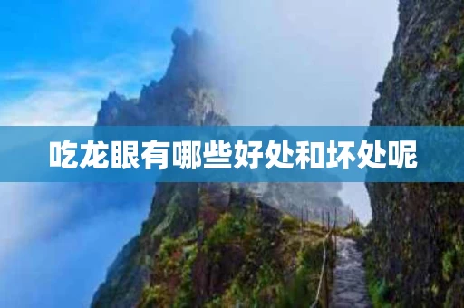 吃龙眼有哪些好处和坏处呢