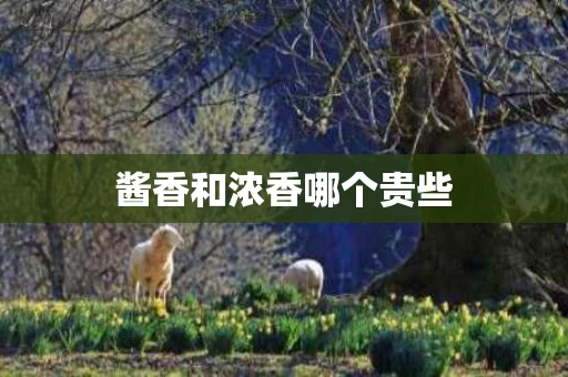 酱香和浓香哪个贵些