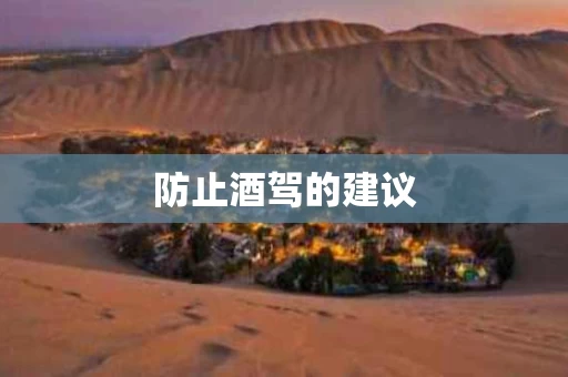 防止酒驾的建议