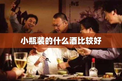 小瓶装的什么酒比较好