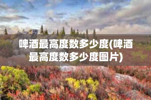 啤酒最高度数多少度(啤酒最高度数多少度图片)