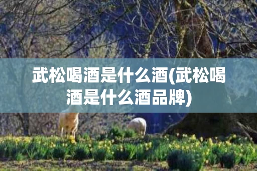 武松喝酒是什么酒(武松喝酒是什么酒品牌)