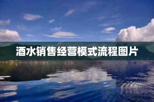 酒水销售经营模式流程图片