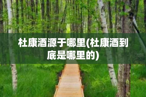 杜康酒源于哪里(杜康酒到底是哪里的)
