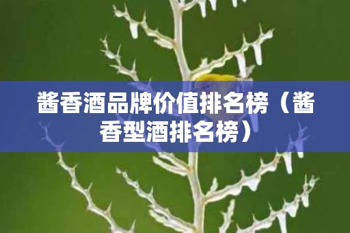 酱香酒品牌价值排名榜（酱香型酒排名榜）