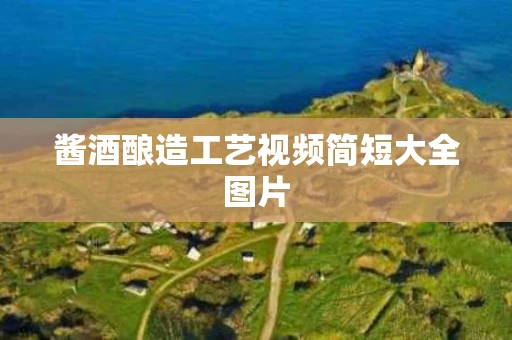 酱酒酿造工艺视频简短大全图片
