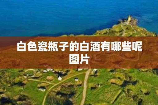 白色瓷瓶子的白酒有哪些呢图片