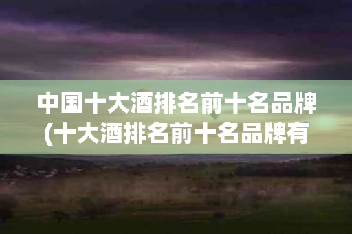 中国十大酒排名前十名品牌(十大酒排名前十名品牌有哪些)