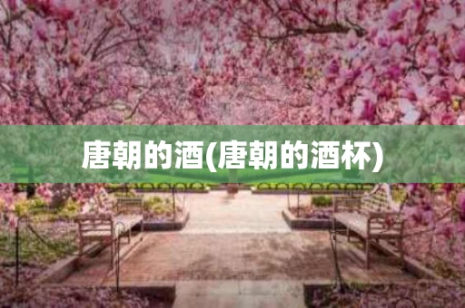 唐朝的酒(唐朝的酒杯)